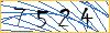 Enter the symbols from the image