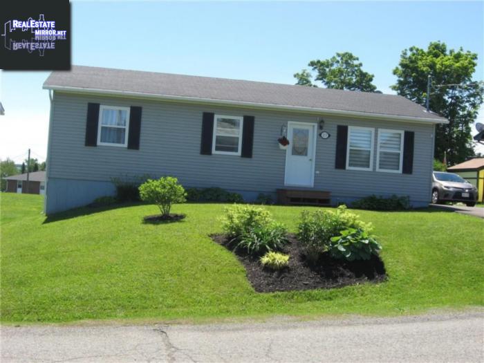 Property 217 Neilson Street main img